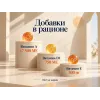 Almo Nature Holistic Maintenance Medium Large со свежей говядиной сухой корм для взрослых собак средних и крупных пород, 2 кг