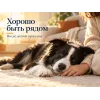 Almo Nature Holistic Maintenance Medium Large со свежей говядиной сухой корм для взрослых собак средних и крупных пород, 2 кг