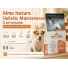 Almo Nature Holistic Maintenance XS-S с анчоусами — сухой корм для взрослых собак мелких пород, 12 кг