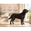 Almo Nature Life Maintenance L со свежим лососем сухой корм для взрослых собак крупных пород, 12 кг