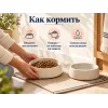 Almo Nature Life Maintenance L со свежим лососем сухой корм для взрослых собак крупных пород, 12 кг