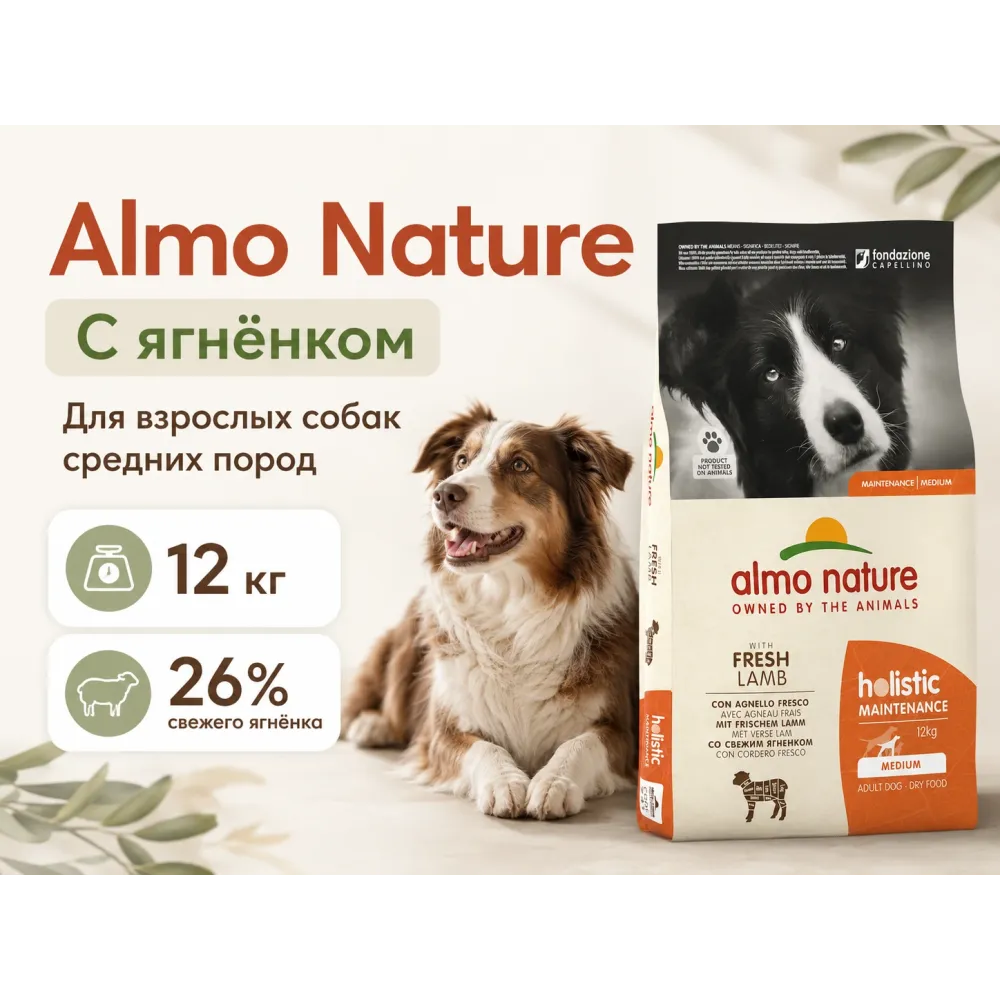 Almo Nature Holistic Life Maintenance Medium с ягнёнком — сухой корм для взрослых собак средних пород, 12 кг