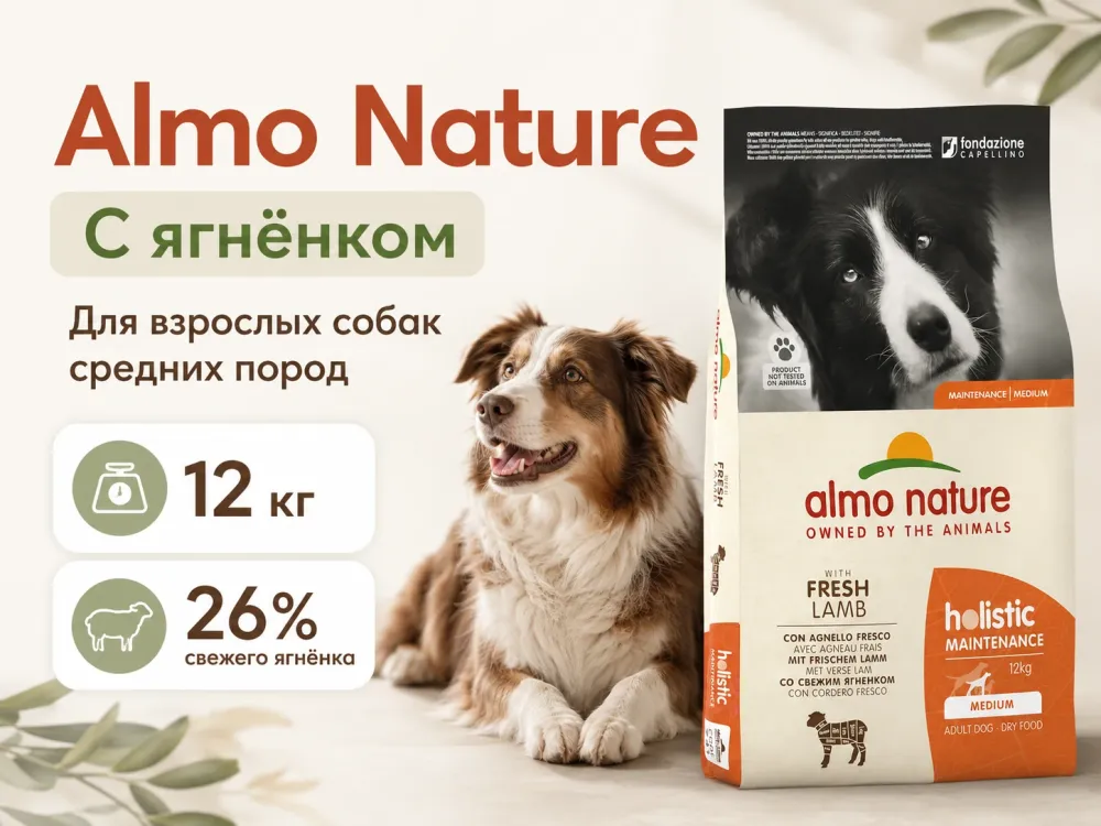 Almo Nature Holistic Life Maintenance Medium с ягнёнком — сухой корм для взрослых собак средних пород, 12 кг