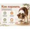 Almo Nature Holistic Life Maintenance Medium с ягнёнком — сухой корм для взрослых собак средних пород, 12 кг