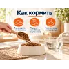 Almo Nature Life Maintenance M со свежим лососем сухой корм для взрослых собак средних пород, 12 кг