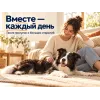Almo Nature Life Maintenance M со свежим лососем сухой корм для взрослых собак средних пород, 12 кг
