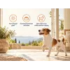 Almo Nature Life Maintenance XS S со свежим ягнёнком сухой корм для взрослых собак мелких пород, 2 кг