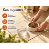 Almo Nature Life Maintenance XS S со свежим ягнёнком сухой корм для взрослых собак мелких пород, 2 кг