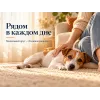 Almo Nature Life Maintenance XS S со свежим ягнёнком сухой корм для взрослых собак мелких пород, 2 кг