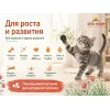 Almo Nature Kitten со свежей курицей и коричневым рисом — сухой корм для котят, 12 кг