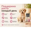 Almo Nature Holistic Puppy XS-S с курицей — сухой корм для щенков мелких пород, 12 кг