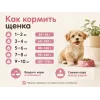 Almo Nature Holistic Puppy XS-S с курицей — сухой корм для щенков мелких пород, 12 кг