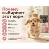 Almo Nature Holistic Puppy XS-S с курицей — сухой корм для щенков мелких пород, 12 кг