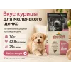 Almo Nature Holistic Puppy XS-S с курицей — сухой корм для щенков мелких пород, 12 кг