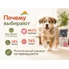 Almo Nature Holistic Puppy Fresh Chicken M/L с курицей — сухой корм для щенков средних и крупных пород, 12 кг
