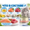 Almo Nature HFC для котят, консервы из лосося и тунца 70г