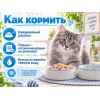 Almo Nature HFC для котят, консервы из лосося и тунца 70г