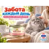 Almo Nature HFC для котят, консервы из лосося и тунца 70г