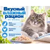 Almo Nature HFC для кошек, консервы из куриного филе 70г