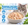 Almo Nature HFC для кошек, консервы из куриного филе 70г