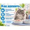 Almo Nature HFC для кошек, консервы из куриного филе 70г
