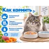 Almo Nature HFC Complete для кошек, тунец с тыквой, консервы 70 г