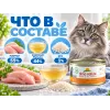 Almo Nature HFC JELLY для кошек, консервы из курицы 70г
