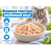Almo Nature HFC JELLY для кошек, консервы из курицы 70г
