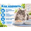 Almo Nature HFC JELLY для кошек, консервы из курицы 70г
