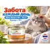 Almo Nature HFC JELLY для кошек, консервы из курицы 70г