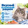 Almo Nature HFC JELLY для кошек, консервы из лосося 70г