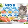 Almo Nature HFC JELLY для кошек, консервы из лосося 70г