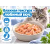 Almo Nature HFC JELLY для кошек, консервы из лосося 70г