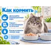 Almo Nature HFC JELLY для кошек, консервы из лосося 70г
