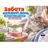 Almo Nature HFC JELLY для кошек, консервы из лосося 70г