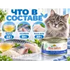 Almo Nature HFC JELLY для кошек, консервы из океанической рыбы 70г