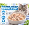 Almo Nature HFC JELLY для кошек, консервы из океанической рыбы 70г