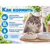 Almo Nature HFC JELLY для кошек, консервы из скумбрии 70г