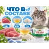 Almo Nature HFC JELLY для кошек, консервы из тунца 70г