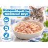 Almo Nature HFC JELLY для кошек, консервы из тунца 70г