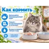 Almo Nature HFC JELLY для кошек, консервы из тунца с кальмарами 70г