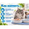 Almo Nature HFC JELLY для кошек, консервы из форели и тунца 70г