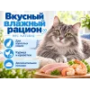 Almo Nature HFC для кошек, консервы из курицы и креветок 70г