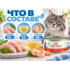 Almo Nature HFC для кошек, консервы из курицы и креветок 70г