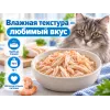 Almo Nature HFC для кошек, консервы из курицы и креветок 70г