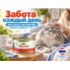 Almo Nature HFC для кошек, консервы из курицы и креветок 70г