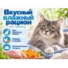 Almo Nature HFC для кошек, консервы из курицы с тыквой 70г