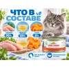 Almo Nature HFC для кошек, консервы из курицы с тыквой 70г