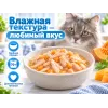 Almo Nature HFC для кошек, консервы из курицы с тыквой 70г