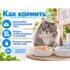 Almo Nature HFC для кошек, консервы из курицы с тыквой 70г